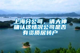 上海分公司，请大神确认这情况公司是否有资质居转户