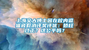 上海交大博士因在校内逗猫被取消评奖评优：矫枉过正？这公平吗？