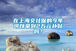 在上海交社保的今年可以拿到2万元补贴吗？