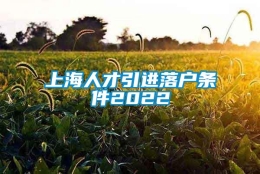 上海人才引进落户条件2022