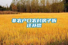 非农户口农村房子拆迁补偿