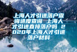 上海人才引进落户查询进度查询 上海人才引进直接落户吗 2020年上海人才引进落户材料