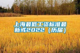 上海最低工资标准最新或2022（历届）