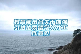 教育部出台关于加强引进优秀留学人才工作意见