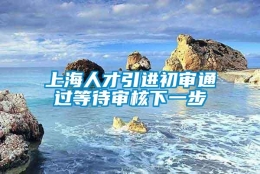 上海人才引进初审通过等待审核下一步