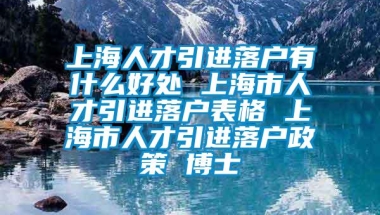 上海人才引进落户有什么好处 上海市人才引进落户表格 上海市人才引进落户政策 博士