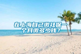 在上海自己缴社保一个月缴多少钱？