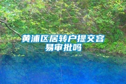 黄浦区居转户提交容易审批吗