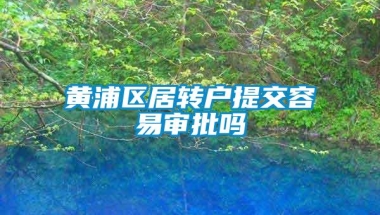 黄浦区居转户提交容易审批吗