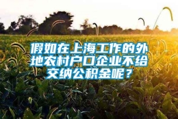 假如在上海工作的外地农村户口企业不给交纳公积金呢？