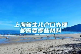 上海新生儿户口办理都需要哪些材料