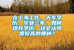 在上海工作，大专学历，毕业三年，如何提升学历，社会认可度较高的那种？