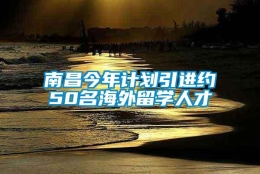 南昌今年计划引进约50名海外留学人才