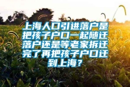 上海人口引进落户是把孩子户口一起随迁落户还是等老家拆迁完了再把孩子户口迁到上海？