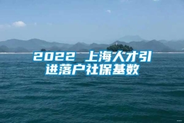 2022 上海人才引进落户社保基数