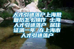 人才引进落户上海批复后怎么操作 上海人才引进落户 居住证满一年 在上海市人才引进落户