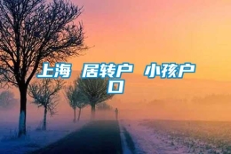 上海 居转户 小孩户口