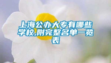 上海公办大专有哪些学校,附完整名单一览表