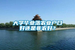 大学毕业落农业户口好还是非农好？