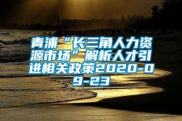 青浦“长三角人力资源市场”解析人才引进相关政策2020-09-23