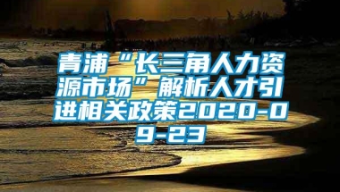 青浦“长三角人力资源市场”解析人才引进相关政策2020-09-23