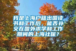 我是上海户籍出国读书和工作后，能否补交在国外求学和工作期间的上海社保？