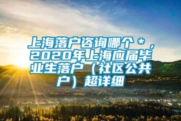 上海落户咨询哪个＊，2020年上海应届毕业生落户（社区公共户）超详细