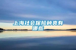 上海社会保险种类有哪些