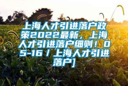 上海人才引进落户政策2022最新，上海人才引进落户细则！05-16／上海人才引进落户]