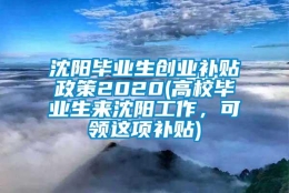 沈阳毕业生创业补贴政策2020(高校毕业生来沈阳工作，可领这项补贴)