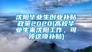 沈阳毕业生创业补贴政策2020(高校毕业生来沈阳工作，可领这项补贴)