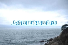 上海医保电话是多少