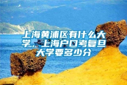 上海黄浦区有什么大学，上海户口考复旦大学要多少分