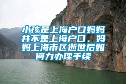 小孩是上海户口妈妈并不是上海户口，妈妈上海市区逝世后如何力办理手续