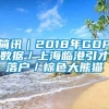 简讯｜2018年GDP数据／上海临港引才落户／棕色大熊猫