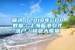 简讯｜2018年GDP数据／上海临港引才落户／棕色大熊猫