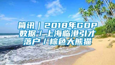 简讯｜2018年GDP数据／上海临港引才落户／棕色大熊猫