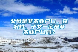 父母是非农业户口，在农村，子女一定是非农业户口吗？