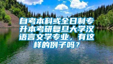 自考本科或全日制专升本考研复旦大学汉语言文学专业，有这样的例子吗？