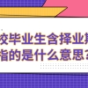 高校毕业生含择业期内指的是什么意思？