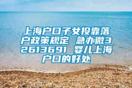 上海户口子女投靠落户政策规定 急办微32613691 婴儿上海户口的好处