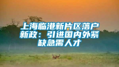 上海临港新片区落户新政：引进国内外紧缺急需人才