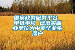 国家政务服务平台 审批事项 已落实就业单位大中专毕业生落户