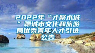 2022年“才聚水城”聊城市文化和旅游局优秀青年人才引进公告