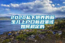 2020私下抱养的新生儿上户口新政策该如何规定的