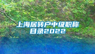 上海居转户中级职称目录2022