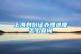 上海身份证办理进度怎么查询