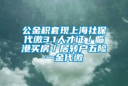 公金积套现上海社保代缴3.1人才证／临港买房／居转户五险一金代缴