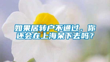 如果居转户不通过，你还会在上海呆下去吗？