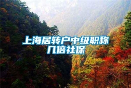 上海居转户中级职称几倍社保